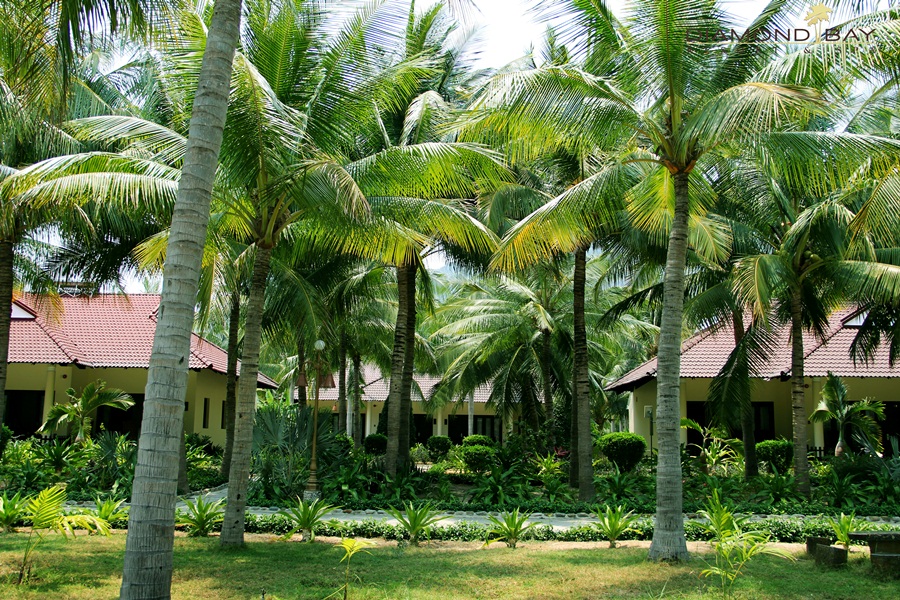  Khách sạn nghỉ dưỡng Diamond Bay Resort & Spa
