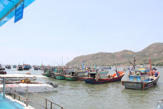 Một số tàu cá của ngư dân vẫn neo đậu trong khu vực mặt nước Bến tàu Du lịch Nha Trang gây khó khăn cho hoạt động du lịch